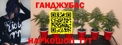 мдпв Лесосибирск