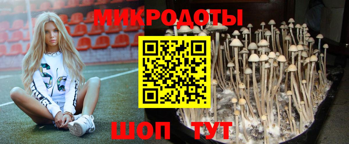 Псилоцибиновые грибы прущие грибы Волоколамск